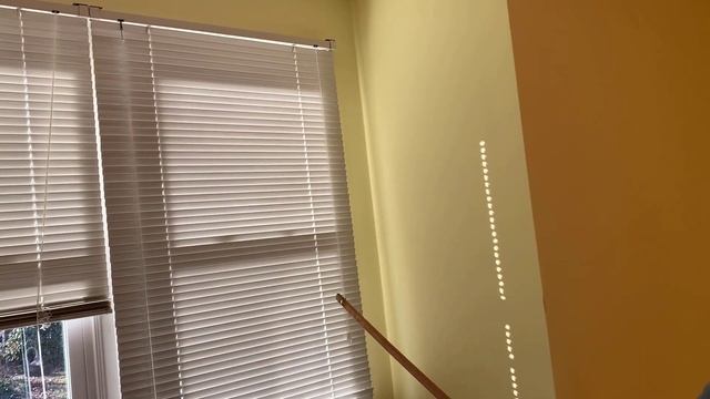 Gadget To Help Cat Look Out Window - Stroke Survivor Life Hack #22 смотреть онлайн