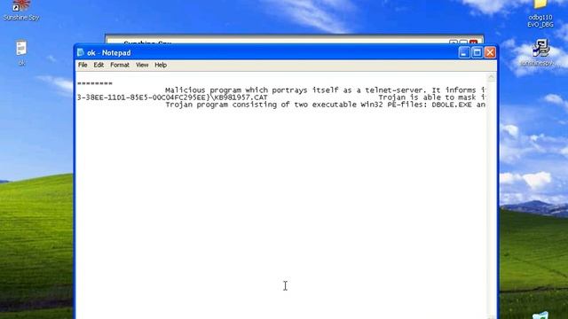 SunshineSpy Rogue Antispyware 2007 cracking / Reversing Registration from UPX and Error Fix смотреть онлайн