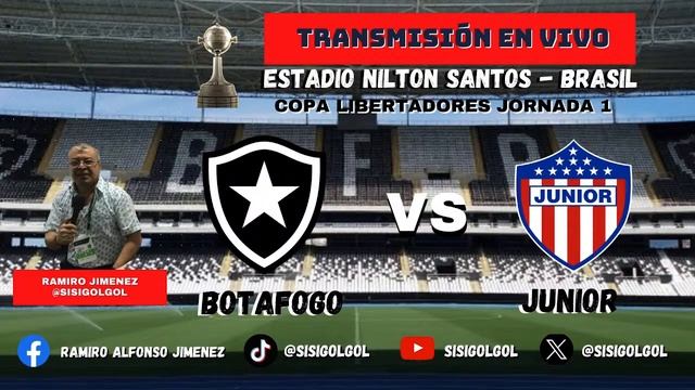 BOTAFOGO VS JUNIOR - COPA LIBERTADORES 2024 - JORNANDA 1 смотреть онлайн