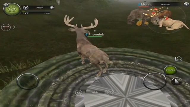 Wild Animals Online By 1Games - Android/iOS - Gameplay Episode 1 смотреть онлайн