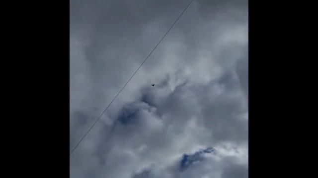 ГОЛУБИ АТЫРАУ 2022/НОМЕР87012184683