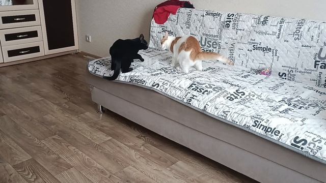 Кузя и девочка смотреть онлайн