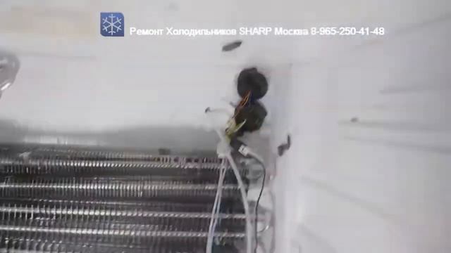 Ремонт Холодильника SHARP SJ F96SP BE 8-965-250-41-48 Москва смотреть онлайн