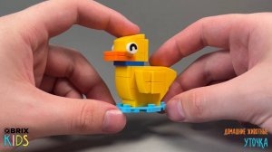 Собираем уточку из конструктора QBRIX KIDS - коллекция детских конструкторов с видеоинструкциями