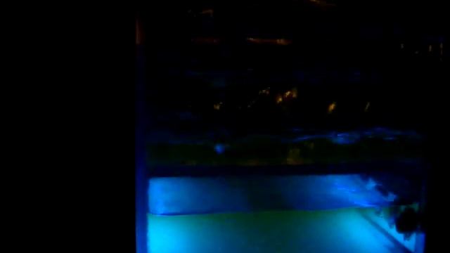 CyberDruidPC Desktop Waterfall смотреть онлайн