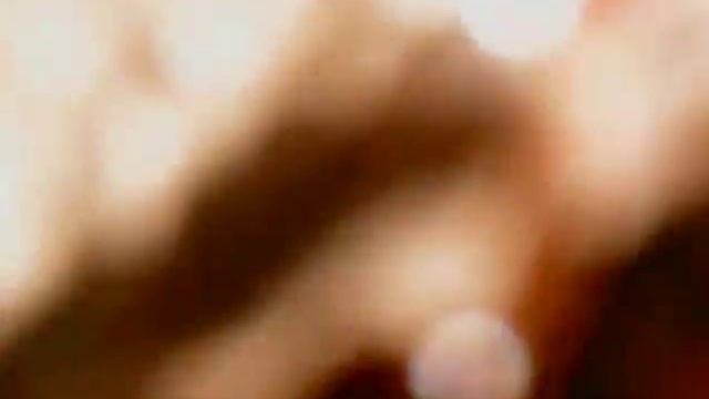 Wasp observation video with CameraFi смотреть онлайн