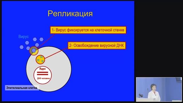 Кератиты. Герпетические. Часть2 смотреть онлайн