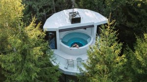 Дом мечтателя. Лапочкино гнездо