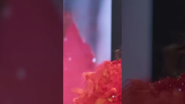 Dildora - Ozoda Nursaidovaga taqlid #ozodanursaidova #isyon #ozoda #hayati #alamlar #parodia #taqlid смотреть онлайн