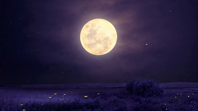 🎵 Relaxing Sleep Music - Night Sounds 🎵 Compilation смотреть онлайн