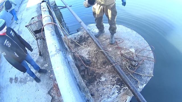 СЕЗОН 2023!!! НЕОБЫЧНОЕ И НОВОЕ!!! смотреть онлайн