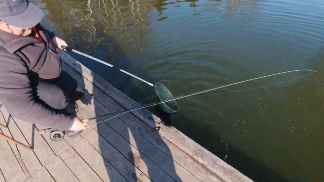 Следствие на рыбалке ведут Колобки смотреть онлайн