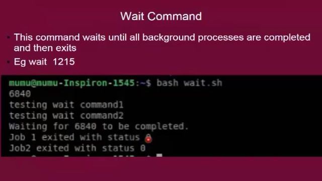 Process Commands + Demo || ps, kill,exit,wait & sleep command || Practical 5 смотреть онлайн