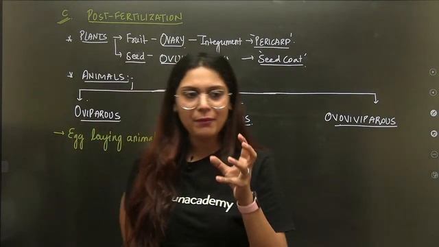 Phoenix 2.0: Biology Most Important Video for NEET 2025 | Unacademy NEET Toppers | Udaan смотреть онлайн