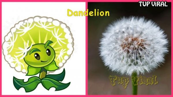 Plants vs Zombies IN REAL LIFE 💥 All Plant Characters 👉@TupViral