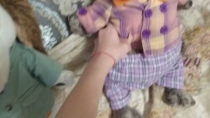 почему весь класс получил 2 ?