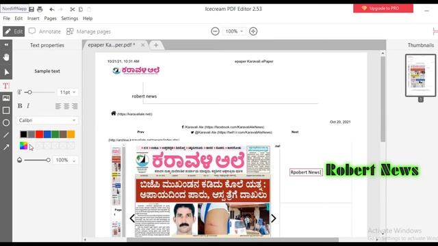 Icecream PDF Editor
