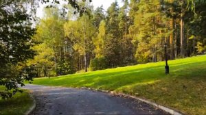 Бор. Красивые места Подмосковья. Tеплая Осень. Московские розы. Домодедово. Московская область.