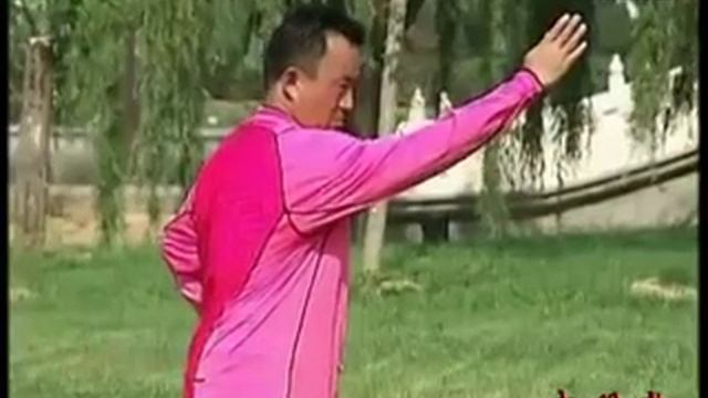 Син И цюань. 5-ый дуань смотреть онлайн