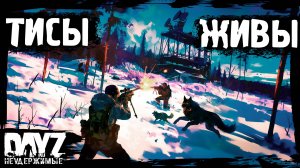 ЖИВЫЕ ТИСЫ - DayZ НЕУДЕРЖИМЫЕ (15 серия, осень 2024, патч 1.25)