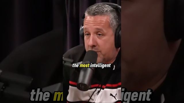 Joe Rogan: Ravens Are Smarter Than Chimps смотреть онлайн