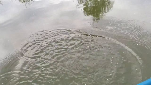 Самоподсекающая удочка "король рыбалки" смотреть онлайн