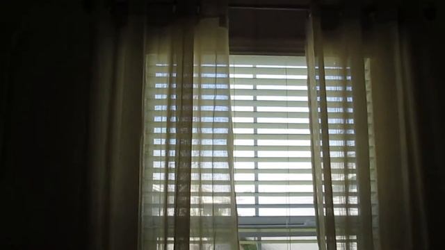 SGD Trac Panel And 2 Inch Faux Wood Window Blinds смотреть онлайн