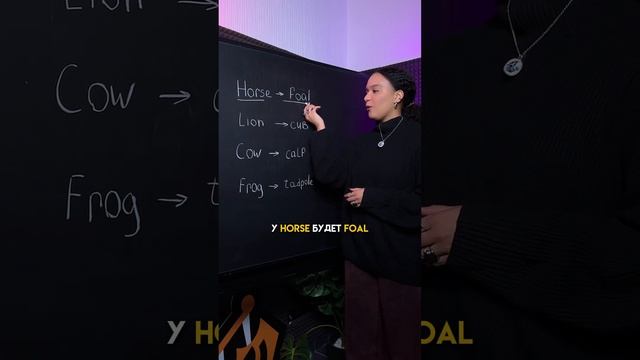 Жеребенок на Английском #английский #английскийязык #english #егэ смотреть онлайн