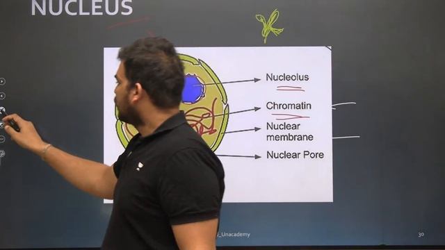 [Science & Tech] Biotechnology | Last 10 Years PYQs with Concept | Arvind Singh Rajpurohit смотреть онлайн