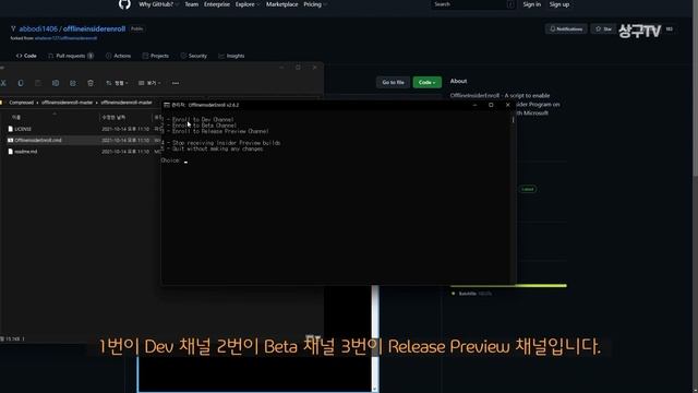 Windows 11 Dev to Beta 강제로 참가자 프로그램 나가는 방법❗ смотреть онлайн