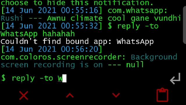 WhatsApp in tui launcher смотреть онлайн
