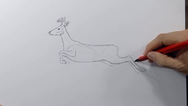 How to Draw a Deer - Elk - Reindeer - Moose смотреть онлайн