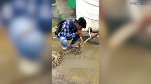 Вот КОГО Нужно Показывать По ТВ! Настоящие СУПЕРГЕРОИ, Снятые На Камеру