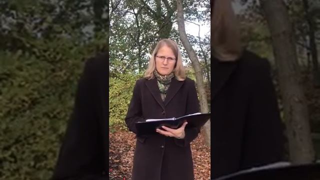 Andacht zum 15. November 2020 смотреть онлайн