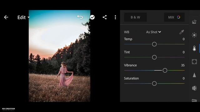 Lightroom Best Preset Download In Dng File | Magic Brown Tone Effect | Lightroom Mobile Tutorial смотреть онлайн