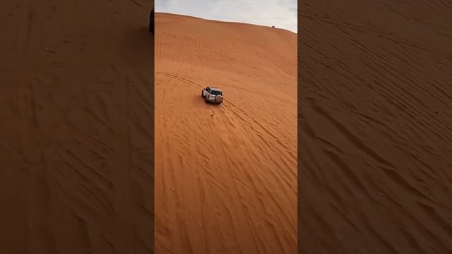 Desert Drive смотреть онлайн