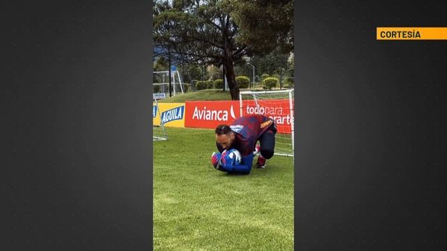 David Ospina entrena en la federación colombiana - Telemedellín смотреть онлайн