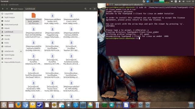 TeamSpeak3 Ubuntu 16.04 смотреть онлайн
