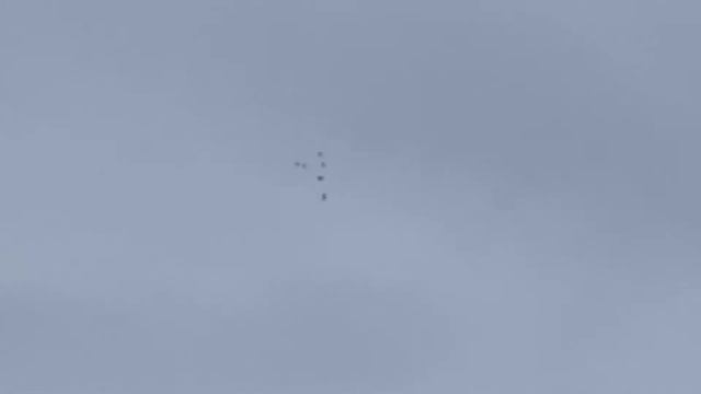 Турецкие бойные голуби,выше средней высоты!