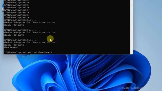 Install AlmaLinux 8 on WSL смотреть онлайн