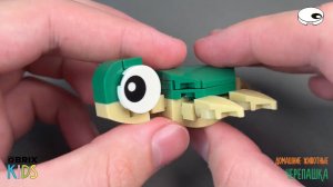 Собираем черепашку из конструктора QBRIX KIDS - коллекция детских конструкторов с видеоинструкциями