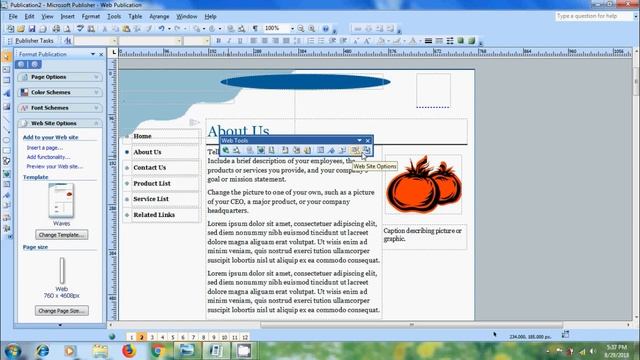 Microsoft Publisher 2007 - how to plan and create a basic web site смотреть онлайн