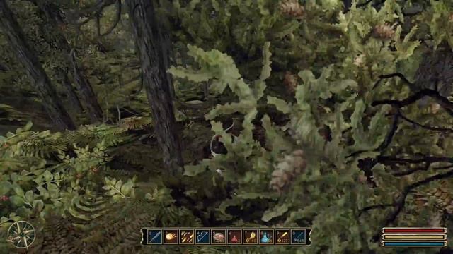 Let's Play Gothic 3 🔥47 - Die Mine im Norden смотреть онлайн