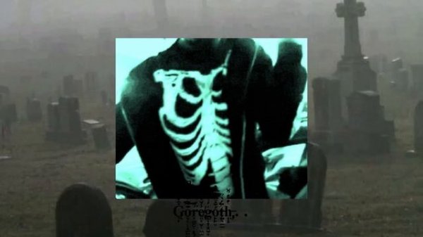 Pathetic- Fragile Video Lyrics