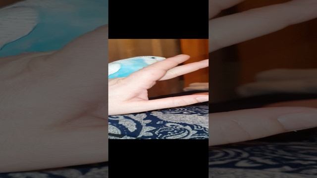 птенец выкормыш