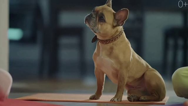 ВИНТ РАЗБОЛТАЙЛО озвучивает ЯНДЕКС СТАНЦИЮ