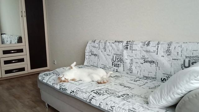 Кузя смотреть онлайн