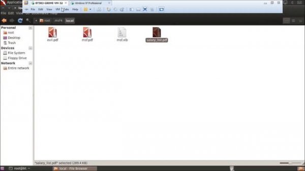 exploit adobe reader 9
