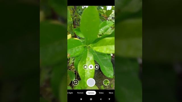 Download GCAM 7.3 (V2) with 10 xml Config Files - Installation and Test Shots on RN8P смотреть онлайн