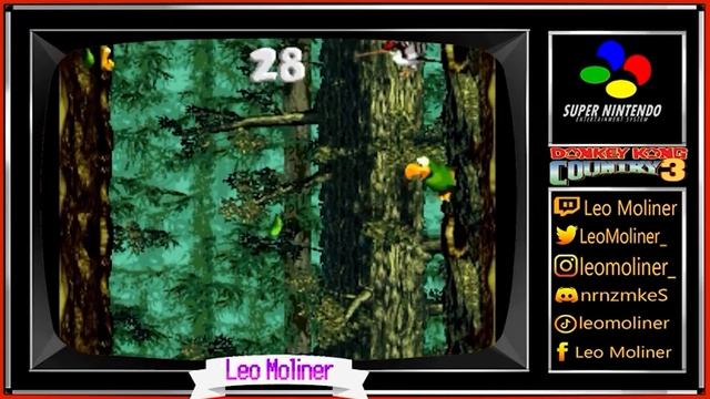 46 Swoopy Salvo 105% Walkthrought Donkey Kong Country 3 смотреть онлайн